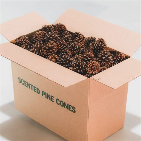 pinecone & pony soap2day|where to buy pine cones.